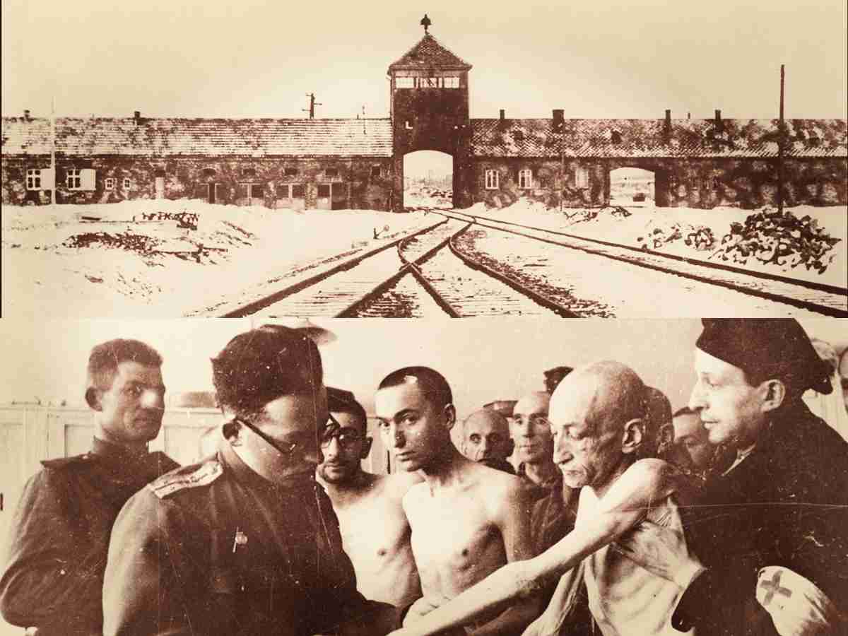 Auschwitz Posty Noticias que Importan